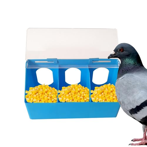 Meindin Tauben-Wasser-Futterspender | Küken Feeder Taubenfutterbox mit DREI Löchern | Haustiernäpfe & Futterspender, Geflügelschlitz-Futterstation, verstellbare Vogelfutter-Futterbox für Taubenkäfig Meindin Tauben-Wasser-Futterspender | Küken Feeder Taubenfutterbox mit DREI Löchern | Haustiernäpfe & Futterspender, Geflügelschlitz-Futterstation, verstellbare Vogelfutter-Futterbox für Taubenkäfig von Meindin
