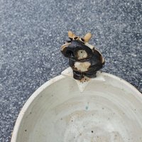 Kleines Schälchen Mit Kuh Keramik von MeineIdeenwerkstatt