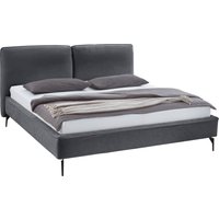 meise.möbel Polsterbett "Infinity erhältlich in verschiedenen Farben und Breiten" mit schwarzen Metallfüßen meise.möbel Polsterbett "Infinity erhältlich in verschiedenen Farben und Breiten" mit schwarzen Metallfüßen von Meise.Möbel