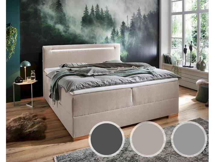 meise.möbel »Cooper I« Boxspringbett inkl. Bettkasten – erhältlich in 8 Größen von Meise