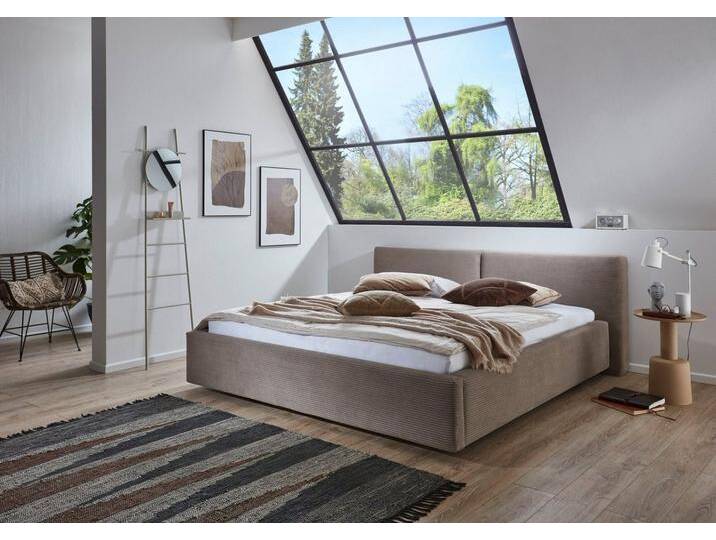 meise.möbel Polsterbett Cube wahlweise mit Matratze und Bettkasten, extra flaches Kopfteil, erhältlich in den Breiten 140cm, 160cm & 180cm, braun von Meise