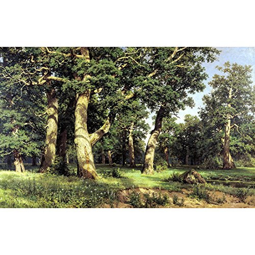 Meishe Art Plakatdruck Poster Bäume Wald Landschaft Oak Grove Lackierung von Öl Ölmalerei und -malerei Reproduktion Replika Kunstwerk Ivan Shischkin Shishkin Kunstdrucke Plakate Drucken Wand Dekor von Meishe Art