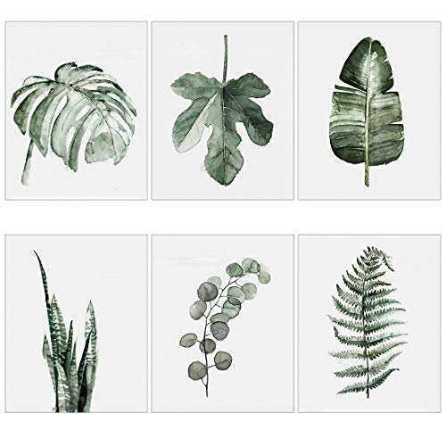 Meishe Art Poster Moderne Plakate Drucken Plakatdruck Kunstdrucke Tropische Der Aquarellmalerei Botanische Pflanzen Grüne Blätter Monstera Fern Beliebt Zu Hause Wand Dekor 6pcs von Meishe Art