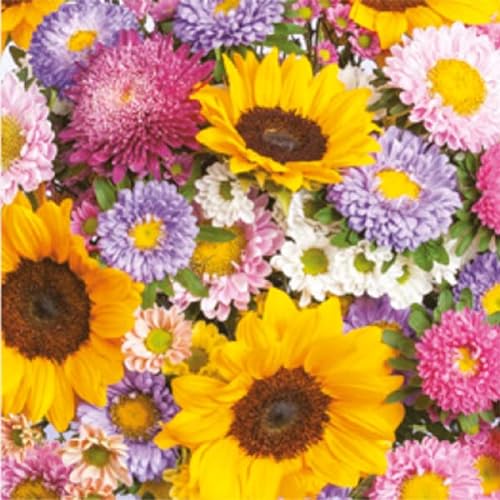 Auswahl Motiv - 20 Servietten / Napkins - ca. 33 x 33 cm 3-lagig - farbenfrohe Sommerblumen - Tisch-Deko Basteln Serviettentechnik von Meissner-Handel