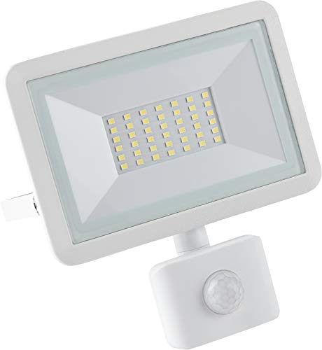 Meister LED-Außenstrahler - weiß - 30 Watt - 2400 Lumen - Zur Festinstallation an Hauswänden - Mit PIR-Bewegungsmelder - IP44 Spritzwasserschutz / Außenleuchte / Wandfluter / Flutlicht / 7490800 von Meister