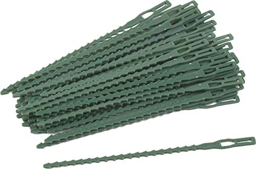 Meister Pflanzenbinder 17 cm - Praktisches Set mit 50 Stück - Mit flexiblem Drahtkern - Für Garten, Haushalt & Hobby - Aus Kunststoff / Allzweckbinder / Drehbinder / Universalbinder / 9970200 Meister Pflanzenbinder 17 cm - Praktisches Set mit 50 Stück - Mit flexiblem Drahtkern - Für Garten, Haushalt & Hobby - Aus Kunststoff / Allzweckbinder / Drehbinder / Universalbinder / 9970200 von Meister