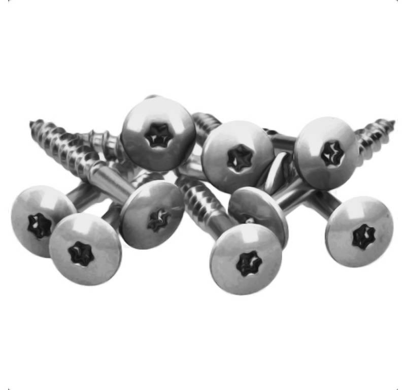 Meisterling® Fassadenschraube INOX, (V2A - 4,8 x 25 mm, Flachkopf Torx T20, 100 Stk), Unlackiert von Meisterling®