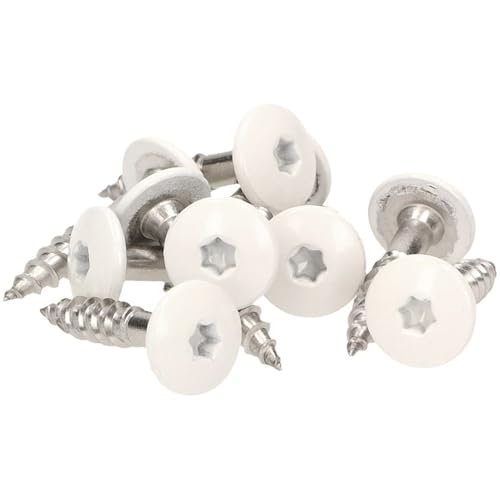 100x MEISTERLING® Fassadenschrauben INOX V2A 4,8 x 32 mm – Flachkopf Torx T20 + 1 Bit – Weiß von Meisterling