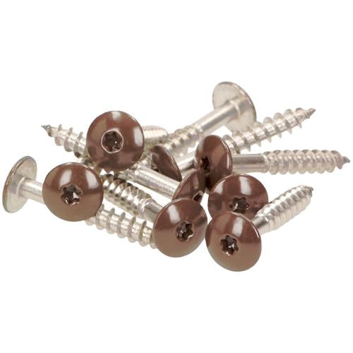 100x MEISTERLING® Fassadenschrauben INOX V4A 5,5 x 35 mm – Flachkopf Torx T20 + 1 Bit – Hellbraun von Meisterling