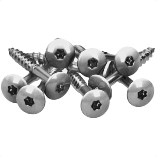 100x MEISTERLING® Fassadenschrauben INOX V2A 4,8 x 38 mm – Flachkopf Torx T20 + 1 Bit – Unlackiert von Meisterling