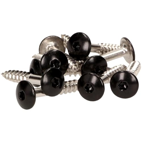100x MEISTERLING® Fassadenschrauben INOX V4A 5,5 x 25 mm – Flachkopf Torx T20 + 1 Bit – Schwarz von Meisterling