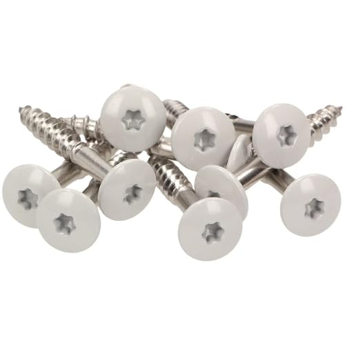 100x MEISTERLING® Fassadenschrauben INOX V4A 5,5 x 55 mm – Flachkopf Torx T20 + 1 Bit – Hellgrau von Meisterling
