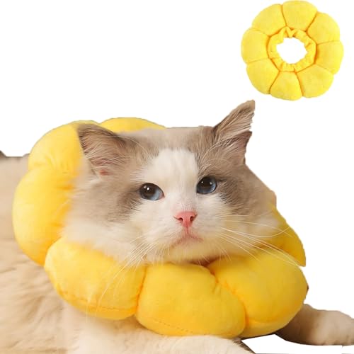 Halskrause Katzen, Leckschutz Katze, Weich Halskragen für Katzen Kleiner Hunde Nach Operation, Elisabethanischer Kragen, Sonnenblume Klein Hund Nach Operation Katzenhalsband Halskrause Katzen, Leckschutz Katze, Weich Halskragen für Katzen Kleiner Hunde Nach Operation, Elisabethanischer Kragen, Sonnenblume Klein Hund Nach Operation Katzenhalsband von Meiturzhen