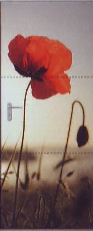 Tür Dekofolie Mohnblume / Door Decoration - Hochwertiger Fotodruck zur effektvollen Raumgestaltung 97.5 cm x 204cm Tür Dekofolie Mohnblume / Door Decoration - Hochwertiger Fotodruck zur effektvollen Raumgestaltung 97.5 cm x 204cm von Melinera