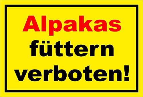 Melis Folienwerkstatt Schild - Alpakas füttern - 30x20cm | Bohrlöcher | 3mm Aluverbund - S00039-036-C -20 Varianten Melis Folienwerkstatt Schild - Alpakas füttern - 30x20cm | Bohrlöcher | 3mm Aluverbund - S00039-036-C -20 Varianten von Melis Folienwerkstatt