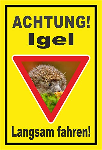 Melis-Folienwerkstatt Schild Igel - langsam Fahren - 60x40cm - 3mm Aluverbund – 20 VAR S00359-157-C von Melis-Folienwerkstatt