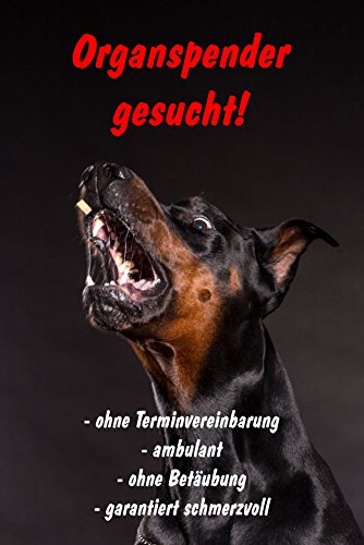 Melis Folienwerkstatt Schild Warnschild Achtung Dobermann – Organspender gesucht – Hund Hundeschild 30x20cm Hartschaum Aluverbund -S25R von Melis Folienwerkstatt