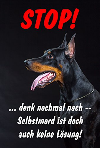 Melis Folienwerkstatt Schild Warnschild Achtung Dobermann – Selbstmord ist doch auch Keine Lösung – Hund Hundeschild 30x20cm Hartschaum Aluverbund -S25T von Melis Folienwerkstatt