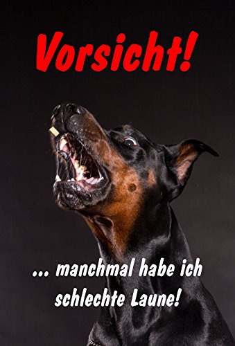 Melis-Folienwerkstatt Schild Warnschild Achtung Dobermann- Vorsicht … manchmal Habe ich schlechte Laune - Hund Hundeschild 30x20cm Hartschaum Aluverbund -S25K Melis-Folienwerkstatt Schild Warnschild Achtung Dobermann- Vorsicht … manchmal Habe ich schlechte Laune - Hund Hundeschild 30x20cm Hartschaum Aluverbund -S25K von Melis-Folienwerkstatt