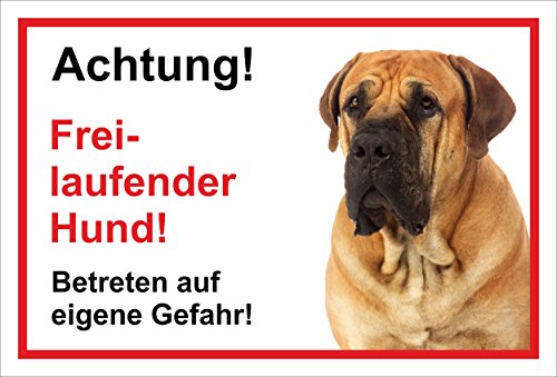 Melis-Folienwerkstatt Schild Warnschild - Achtung freilaufender Hund – Betreten auf eigene Gefahr - Hund Hundeschild 30x20cm Hartschaum Aluverbund -S31V Melis-Folienwerkstatt Schild Warnschild - Achtung freilaufender Hund – Betreten auf eigene Gefahr - Hund Hundeschild 30x20cm Hartschaum Aluverbund -S31V von Melis-Folienwerkstatt