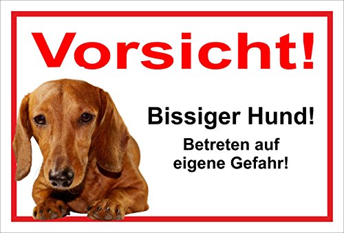 Melis Folienwerkstatt Schild Warnschild Dackel Vorsicht freilaufender Hund – Achtung Bissiger Hund – 20x30cm – S24B von Melis Folienwerkstatt