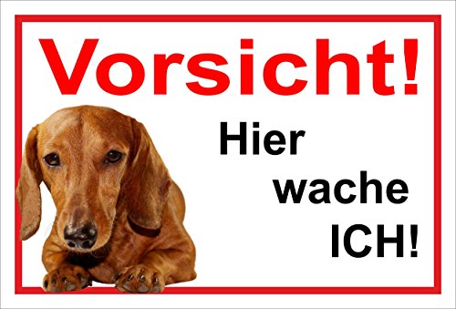 Melis-Folienwerkstatt Schild Warnschild Dackel Vorsicht freilaufender Hund – Achtung – Hier wache ich – 20x30cm – S24E Melis-Folienwerkstatt Schild Warnschild Dackel Vorsicht freilaufender Hund – Achtung – Hier wache ich – 20x30cm – S24E von Melis-Folienwerkstatt