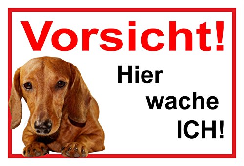 Melis Folienwerkstatt Schild Warnschild Dackel Vorsicht freilaufender Hund – Achtung – Hier wache ich – 20x30cm – S24E von Melis Folienwerkstatt