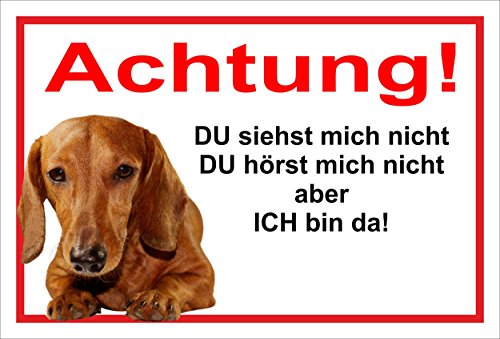 Melis Folienwerkstatt Schild Warnschild Dackel Vorsicht freilaufender Hund – Achtung – Ich Bin da – 20x30cm – S24G von Melis Folienwerkstatt