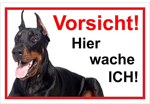 Melis Folienwerkstatt Schild Warnschild Vorsicht freilaufender Hund – Dobermann Achtung – Hier wache ich – 20x30cm – S22E von Melis Folienwerkstatt