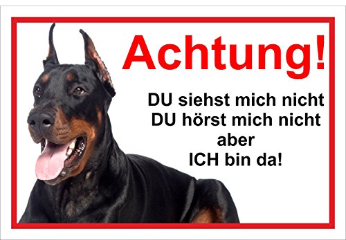 Melis Folienwerkstatt Schild Warnschild Vorsicht freilaufender Hund – Dobermann Achtung – Ich Bin da – 20x30cm – S22G von Melis Folienwerkstatt