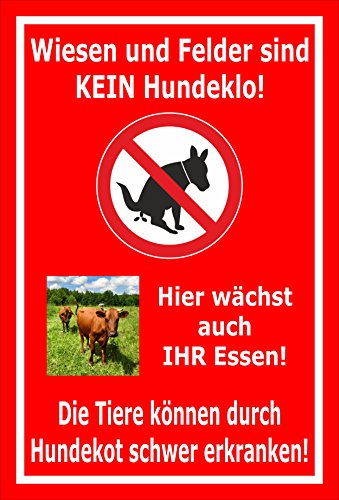 Melis Folienwerkstatt Schild Wiesen Felder kein Hundeklo - 60x40cm - Bohrlöcher - 3mm Hartschaum – 20 VAR S00187-033-D von Melis Folienwerkstatt