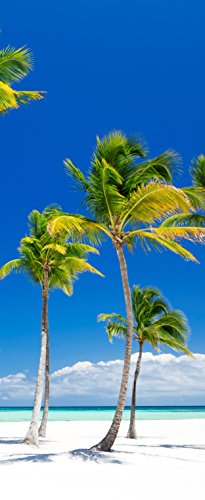 Melis Folienwerkstatt Tür-tapete Tür-Poster selbstklebend – Palmen am Strand Urlaub Südsee Karibik – 100x210cm - Foto-tapete Tür-Folie – T00014-3-teilig von Melis Folienwerkstatt