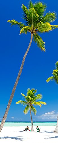 Melis Folienwerkstatt Tür-tapete Tür-Poster selbstklebend – Palmen am Strand Urlaub Südsee Karibik – 90x205cm - Foto-tapete Tür-Folie – T00013-1-teilig von Melis Folienwerkstatt