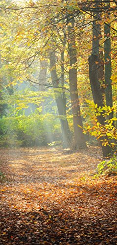 Melis Folienwerkstatt Türtapete Türposter selbstklebend – Waldweg im Herbst - 90x205cm und 100x210cm - Fototapete Poster Türfolie Tapete – T00110 von Melis Folienwerkstatt