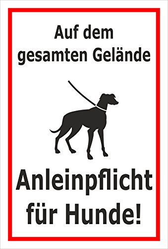 Melis-Folienwerkstatt Schild - Anleinpflicht für Hunde - 30x20cm | Bohrlöcher | 3mm Aluverbund – S00216-020-B -20 VAR. Melis-Folienwerkstatt Schild - Anleinpflicht für Hunde - 30x20cm | Bohrlöcher | 3mm Aluverbund – S00216-020-B -20 VAR. von Melis-Folienwerkstatt
