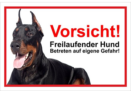 Melis Folienwerkstatt Schild Warnschild Vorsicht freilaufender Hund – Dobermann Achtung Hund – 20x30cm – S22A von Melis Folienwerkstatt