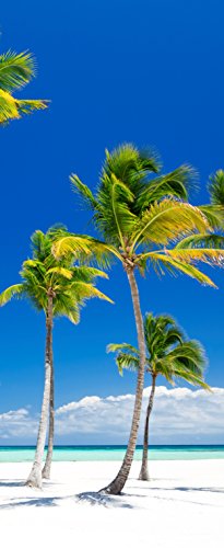 Melis Folienwerkstatt Tür-tapete Tür-Poster selbstklebend – Palmen am Strand Urlaub Südsee Karibik – 100x210cm - Foto-tapete Tür-Folie – T00014-1-teilig von Melis Folienwerkstatt
