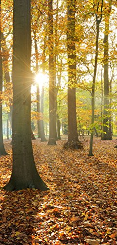 Melis Folienwerkstatt Türtapete Türposter selbstklebend – Waldweg im Herbst - 90x205cm und 100x210cm - Fototapete Poster Türfolie Tapete – T00111 von Melis Folienwerkstatt