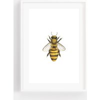 Honigbiene Aquarell Kunstdruck - Kunst Hummel Wanddekoration Bienenmalerei von MelissaJacobsenArt