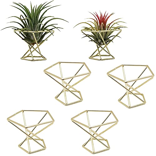 Melitt 6 StüCk Geometrische Luft Pflanzen Halter Luftpflanzen Rack Metall Pflanzen StäNder Pflanzer Regale Himmeli Dekor Tillandsien BehäLter Melitt 6 StüCk Geometrische Luft Pflanzen Halter Luftpflanzen Rack Metall Pflanzen StäNder Pflanzer Regale Himmeli Dekor Tillandsien BehäLter von Melitt