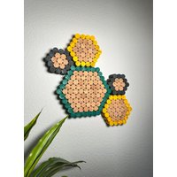 Pinnwand Aus Korken Hexagon - Memoboard Mit Bunter Umrandung Pinnwand Aus Korken Hexagon - Memoboard Mit Bunter Umrandung von MemoKork