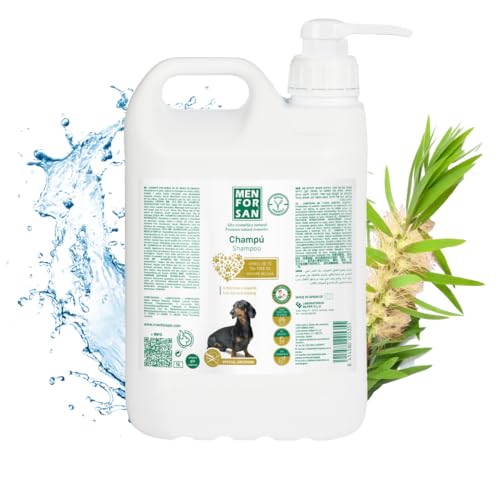 Shampooing Men for San Chien Arbre à thé Caramel (5 L) von Menforsan