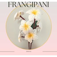 Frangipani Häkelblumen Plumeria Blumen Handgefertigter Gehäkelter Blumenstrauß Valentinstagsgeschenk Bouquet Immergrün Für Immer von MengcraftCrochet