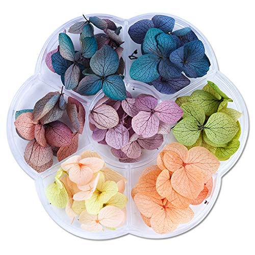 Mengmengda Schmuckherstellung, Trockenblumen, Epoxidharz, handgefertigt, Füllmaterial, getrocknete Blumen von Mengmengda