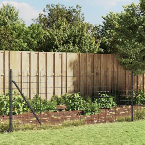 Mengtu Maschendrahtzaun mit Bodenhülsen Gartenzaun Teichzaun Steckzaun Gitterzaun Drahtzaun Metallzaun Freigehege Zaun Tiergehege Zaunelemente Anthrazit 0,8x25 m Garten Möbel von Mengtu