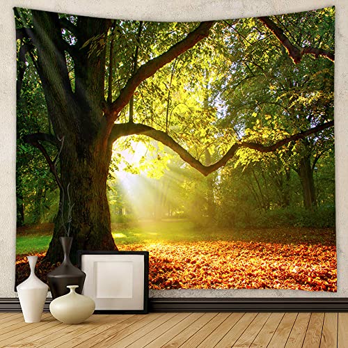 Menkala Wandteppich Wald Sonnenlicht Natur Landschaft Wandbehang Wand Deko Aesthetic Room Decor Wanddeko Wohnzimmer Schlafzimmer Wandteppiche Grün Baum Forest Tapestry Groß 200x150 cm von Menkala