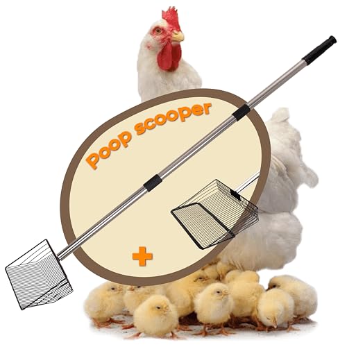 Hühnerkotschaufel mit 2 Schaufelköpfen, 25 cm Breite Siebschaufel aus Edelstahl, Teleskop-Kotschaufel 50–180 cm, Hühnerstall Zubehör für Pferde, Schweine & Kleintiere, Sandsieb Schaufel von Meow&Woof