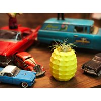 3D Gedruckter Ananas-Planter Luftpflanze & Sukkulentenhalter von Meow3DStore