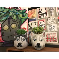 Personalisierter Siberian Husky Übertopf Personalisiertes Geschenk Für Hundeliebhaber von Meow3DStore