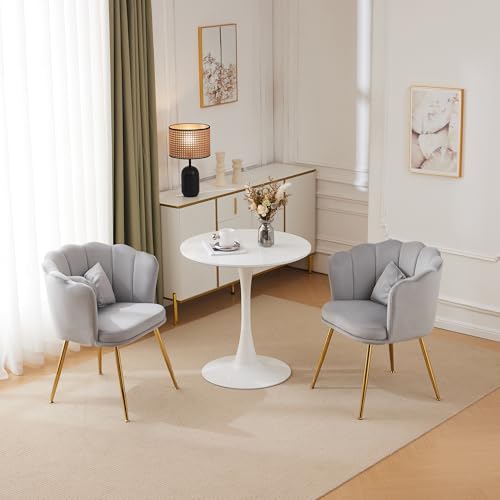 2er-Set Samtstühle in Muschelform, Moderner Akzentstuhl mit Rückenlehne & goldenen Metallbeinen – Elegante Lounge Stühle für Wohnzimmer, Schlafzimmer & Schminktisch von Merax